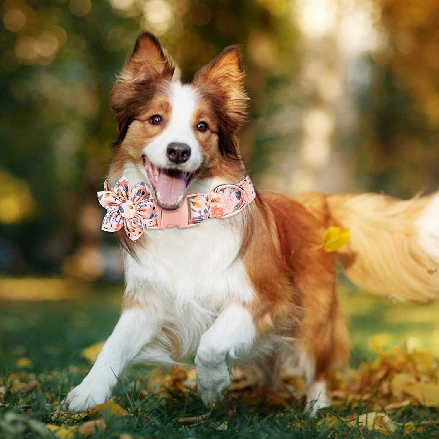 Bow Tie for Cats Breakaway 3 Adjustable Sizes Personalized Dog Collars with Flower Tie Cotton Girls Dog Collar with Metal Buckle Puppy Collars Animals & Pet Supplies > Pet Supplies > Dog Supplies > Dog Apparel HonpraD   