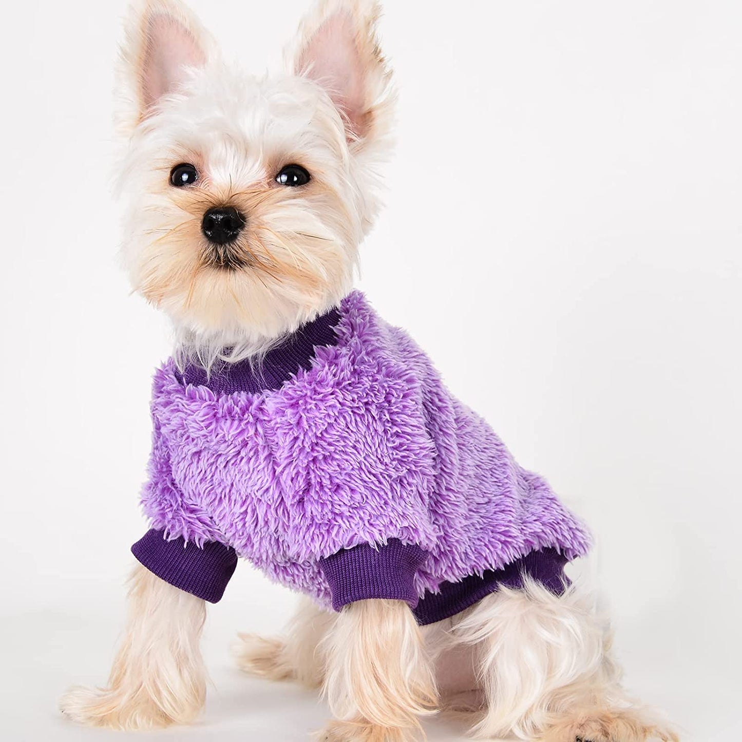 Small Dog Sweaters Chihuahua Fleece Clothes XXS~S Winter Warm Puppy Sweaters Boys Girls Tiny Dog Outfits for Teacup Yorkie Puppies Extra Small Breed Costume (Large Bust 17.71") Animals & Pet Supplies > Pet Supplies > Dog Supplies > Dog Apparel Kosiyi Purple Medium (6-9 Ib) 