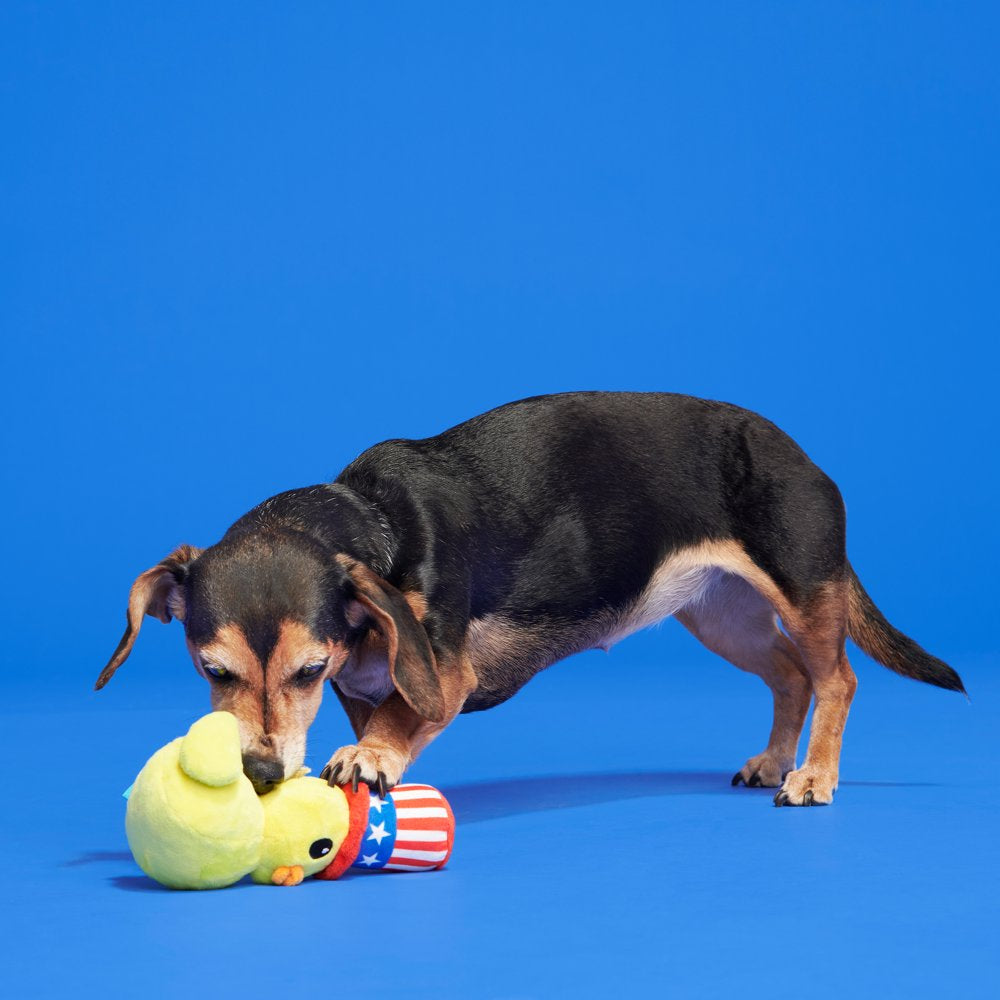 BARK Uncle Duck Super Chewer - Yankee Doodle Dog Toy, Great for Photo Ops, XS-M Dogs Animals & Pet Supplies > Pet Supplies > Dog Supplies > Dog Toys BARK   