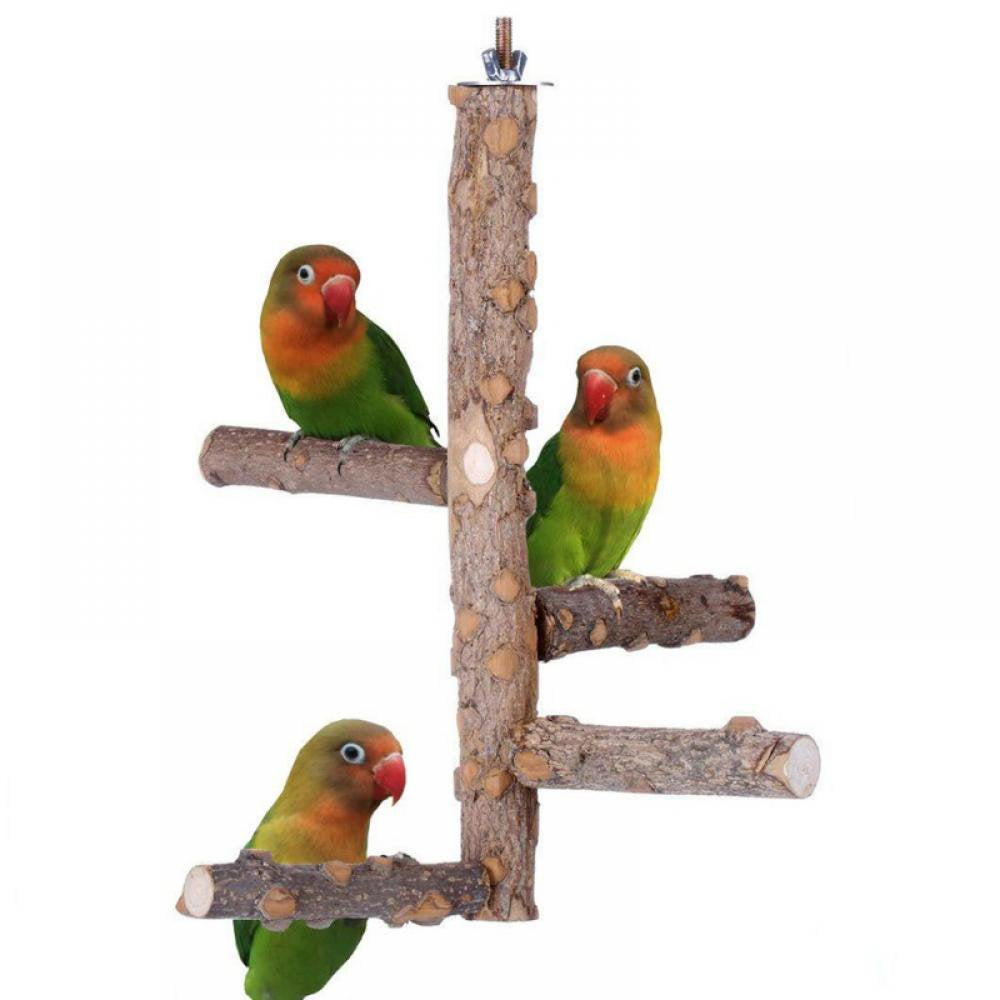 Bird Perch Stand Toy, Natural Wood Parrot Perch Bird Cage Branch Perch Accessories for Parakeets Cockatiels Conures Macaws Finches Love Birds - Small Animals & Pet Supplies > Pet Supplies > Bird Supplies > Bird Cage Accessories Kernelly L  