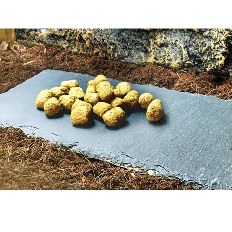 Turtle Tortoise Dish for Reptile Amphibians Food Bowl Natural Rock Plate Fit Snake, Horned Frogs, Bullfrogs, Rainforest Skinks, Animals & Pet Supplies > Pet Supplies > Reptile & Amphibian Supplies > Reptile & Amphibian Food Magideal   