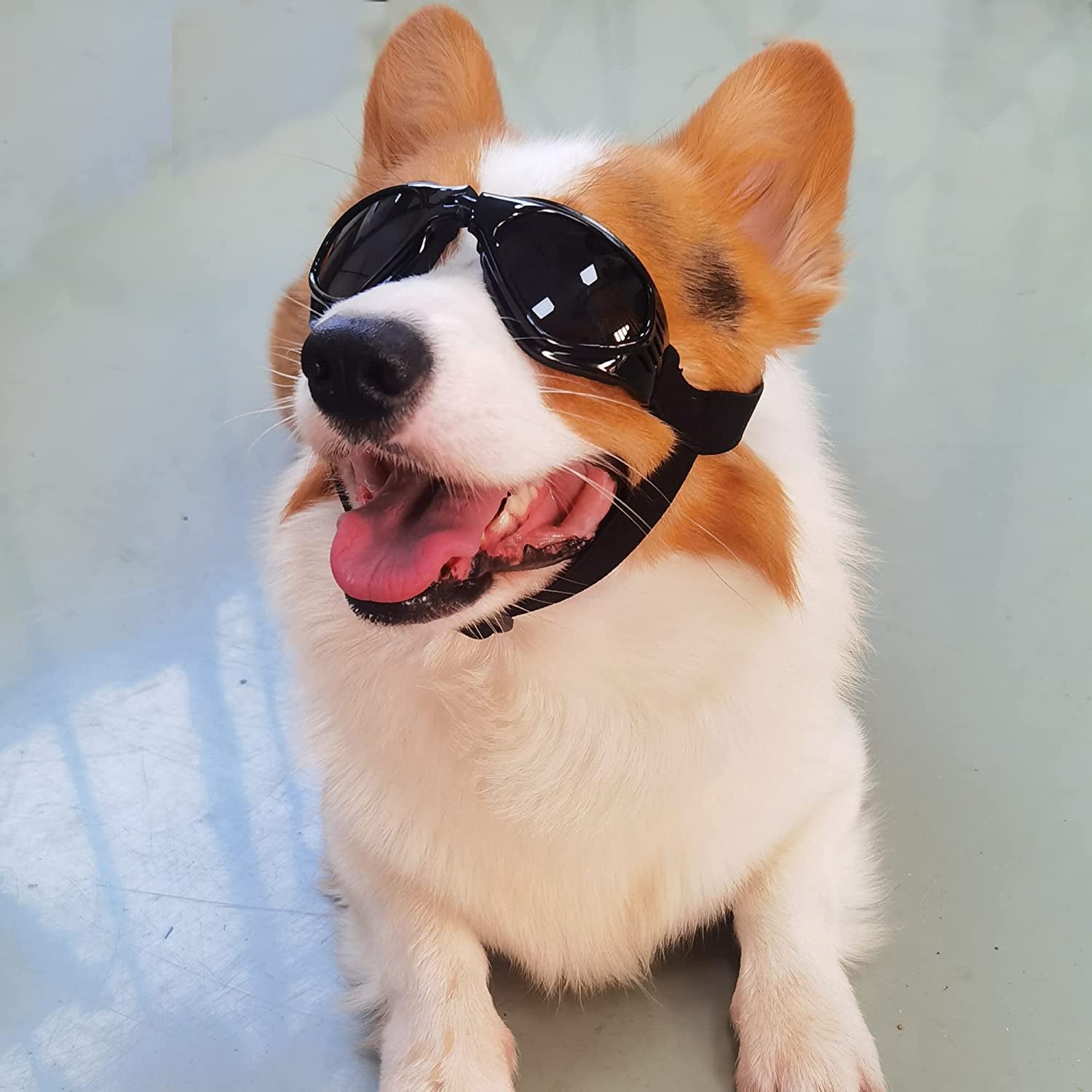 Small Dog Goggles Sun' UV Protection Puppy Goggles Windproof Small Pet Sunglasses for Eyes Protection (Black) Animals & Pet Supplies > Pet Supplies > Dog Supplies > Dog Apparel guangzhoucailanzimaoyiyouxiangongsi   