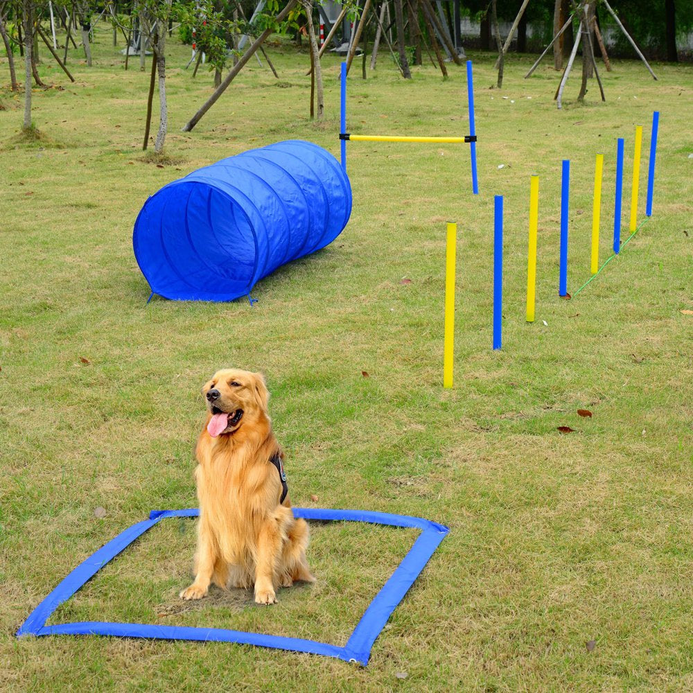 Dog Obstacle Agility Training Kit Lightweight Backyard Competitive Equipment – Blue and Yellow