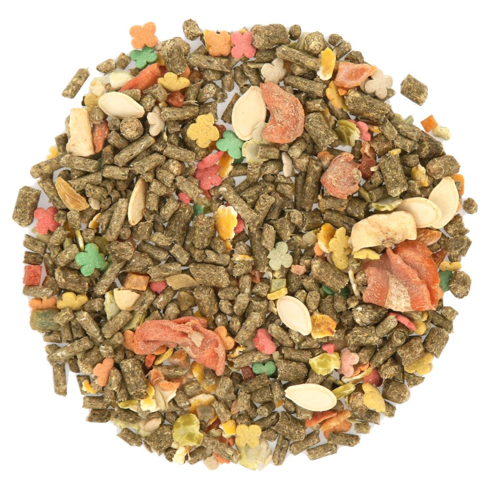 Encore Gourmet Foraging Feast Guinea Pig Food, 4 Lb. Animals & Pet Supplies > Pet Supplies > Small Animal Supplies > Small Animal Food F.M. Brown's Sons, Inc.   