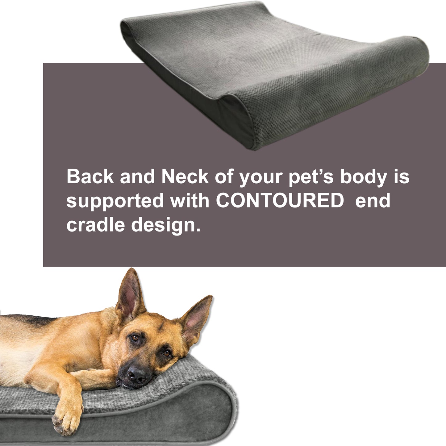 Mayton, Standard Foam Inner Waterproof with Corn Grain Pattrern Lounger Cradle Mattress Contour Pet Bed W/ Removable Cover for Dogs & Cats, Small - 24" X 36" X 5.5”
