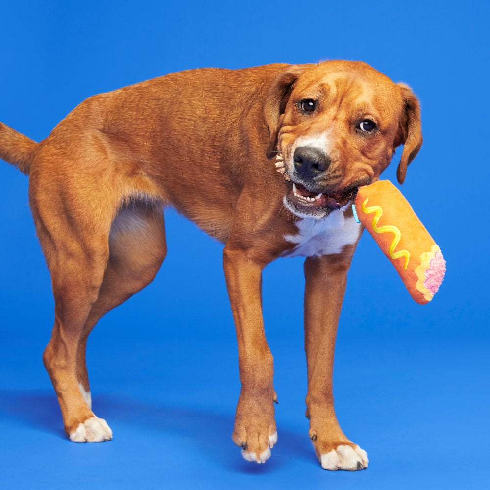 BARK Corn Dog Tug - Yankee Doodle Dog Toy, Great for Tug-O-War, XS-M Dogs Animals & Pet Supplies > Pet Supplies > Dog Supplies > Dog Toys BARK   