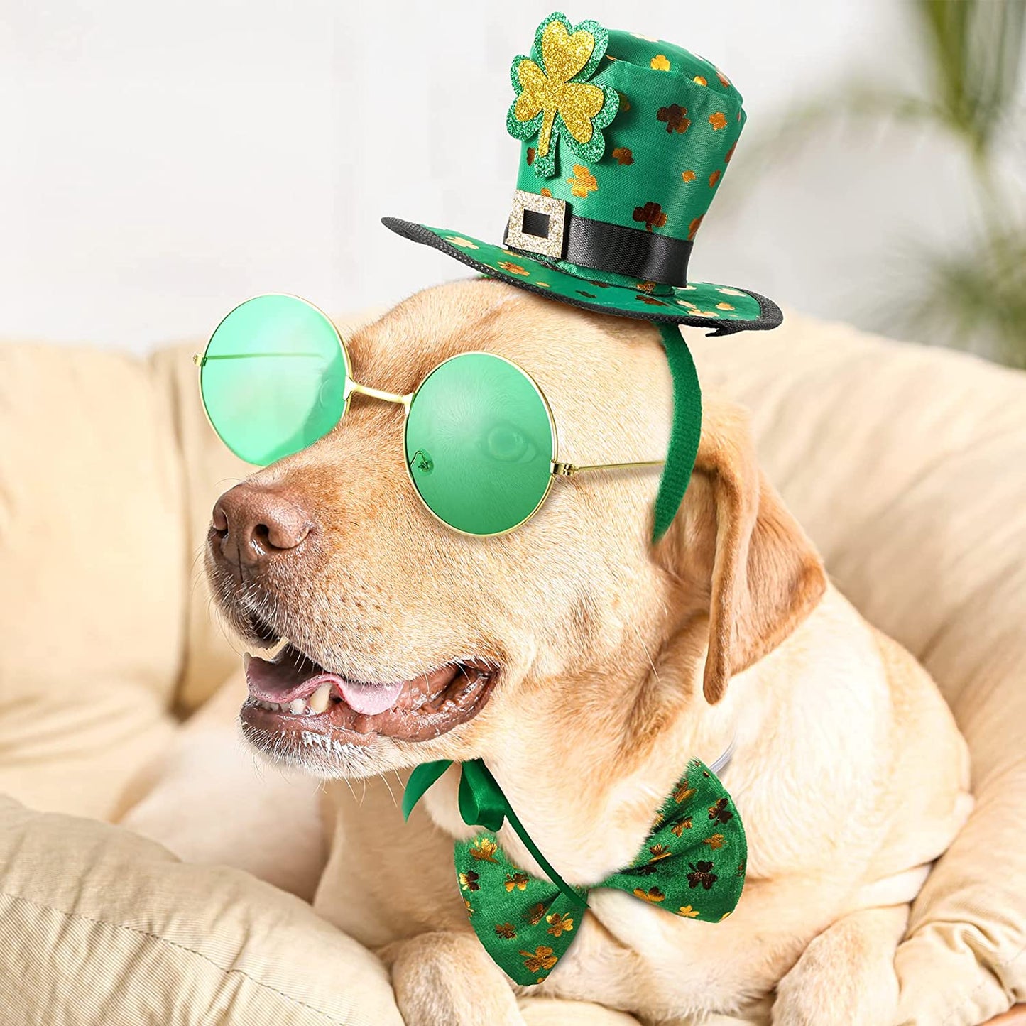 3 Pcs St Patrick'S Day Dog Costume, St. Patty'S Day Doggie Headband Green round PET Sunglasses and Green Shamrock Bow Tie Kit for Medium Large Dogs Animals & Pet Supplies > Pet Supplies > Dog Supplies > Dog Apparel Yaomiao   