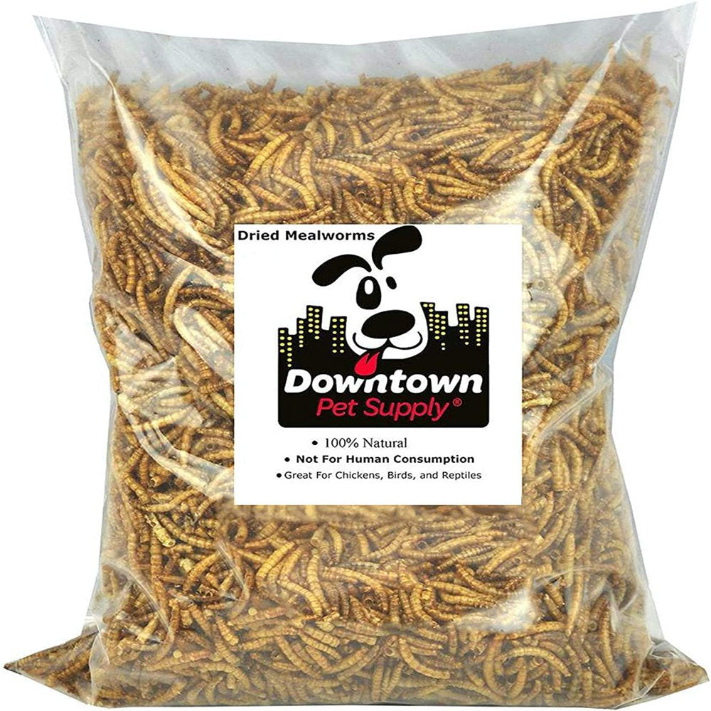 Downtown Pet Suppl Mealworms - Rich in Vitamin B12, B5, Protein, Fibre and Omega 3 Fatty Acids - Chicken, Duck and Bird Food - Reptile and Turtle Foo