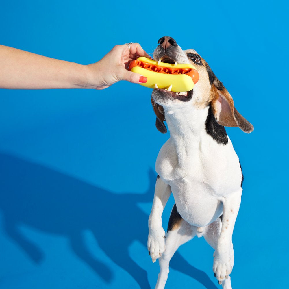 BARK Treat Meat Hotdog Super Chewer - Yankee Doodle Dog Toy, Bacon Scented, Medium Dogs Animals & Pet Supplies > Pet Supplies > Dog Supplies > Dog Toys BARK   