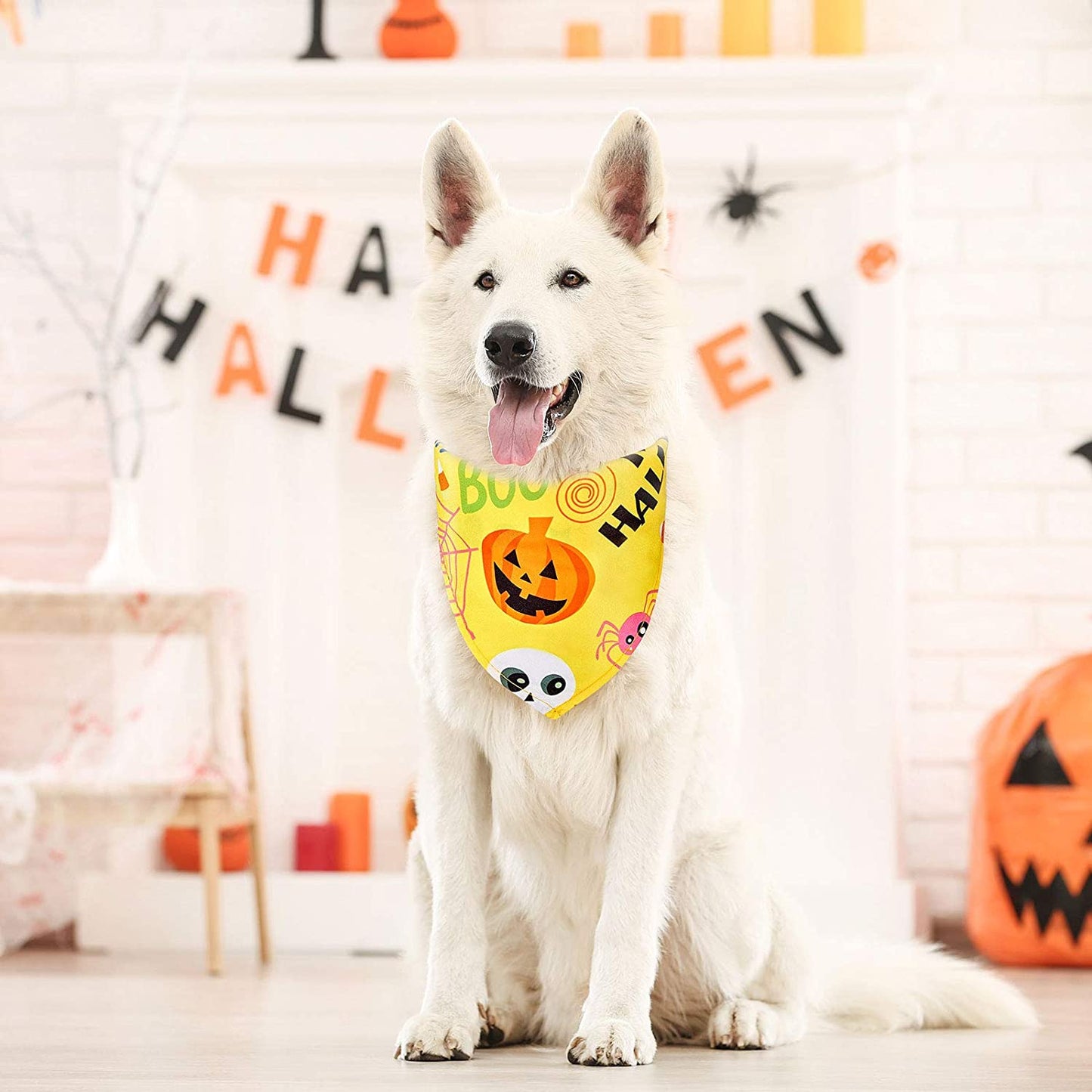 8 Pieces Halloween Dog Bandanas Pumpkin Bat Pet Scarf Dog Triangle Dog Scarf Adjustable Dog Bib Dog Scarf for Halloween Holiday Costume (Spider Style) Animals & Pet Supplies > Pet Supplies > Dog Supplies > Dog Apparel Weewooday   