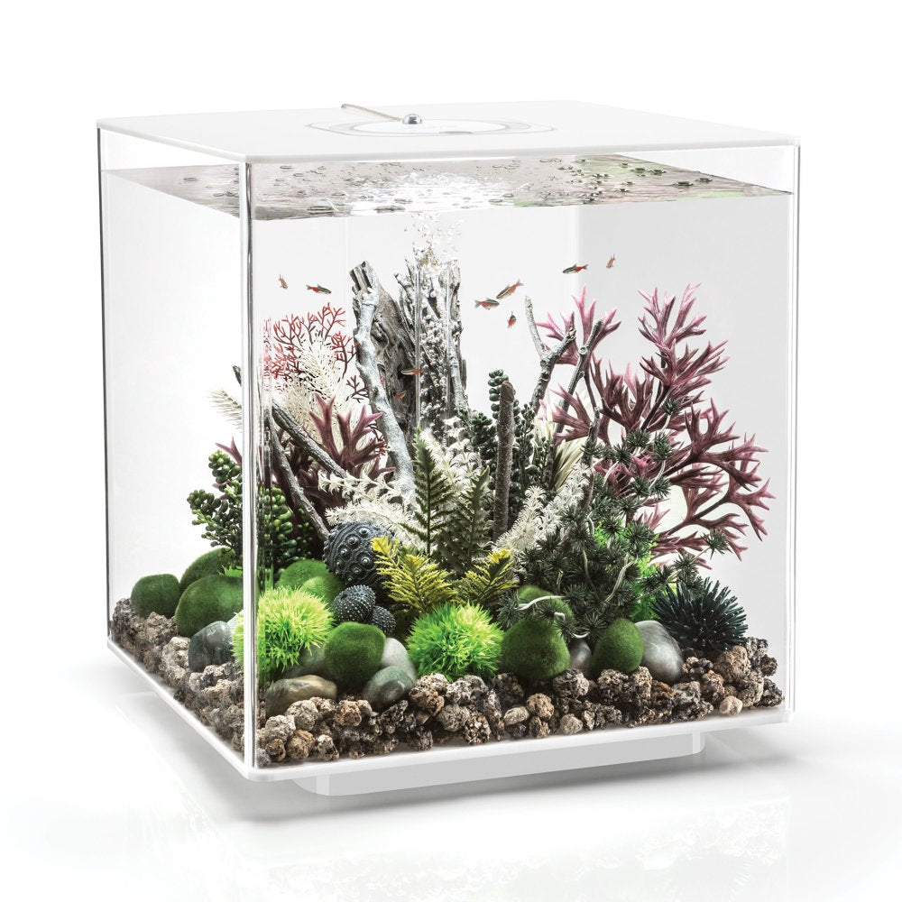 Biorb Aquarium Decor Amazonas Elements Set of 3, Resin, Grey Animals & Pet Supplies > Pet Supplies > Fish Supplies > Aquarium Decor OASE   