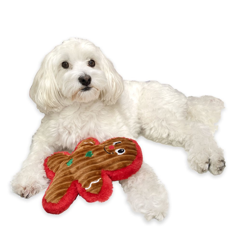 Vibrant Life Holiday Gingerbread Dog Toy with Squeaker for Light to Moderate Chewing Animals & Pet Supplies > Pet Supplies > Dog Supplies > Dog Toys Vibrant Life   