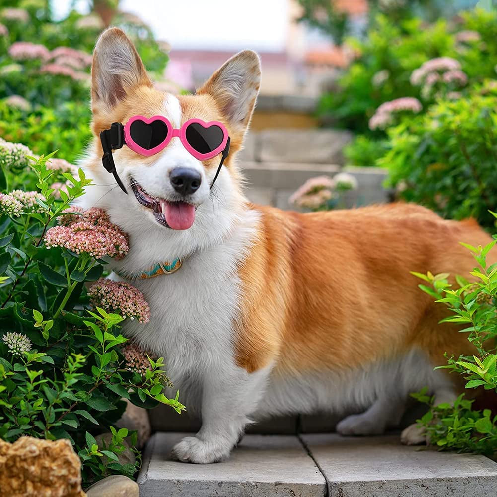 Mekek Dog Sunglasses Dog Goggles, UV Protection Doggy Sunglasses Love Shaped Dog Sunglasses Fashionable Vintage Pet Glasses Eye Wear Protection with Adjustable Strap for Small or Medium Dog Animals & Pet Supplies > Pet Supplies > Dog Supplies > Dog Apparel Mekek   