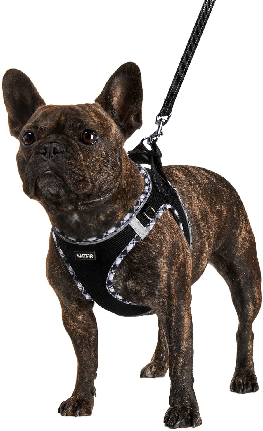 AMTOR Dog Harness with Leash Set,No Pull Adjustable Reflective Step-In Puppy Harness with Padded Vest for Extra-Small/Small Medium Large Dogs and Cats(Beige) Animals & Pet Supplies > Pet Supplies > Dog Supplies > Dog Apparel AMTOR BlackWhite Large(Chest:18.0"-19.5") 