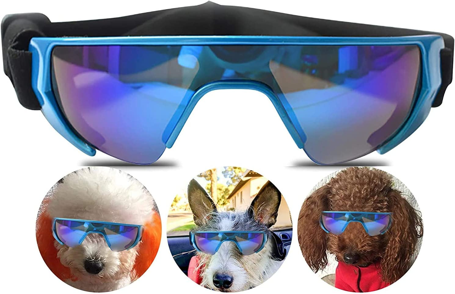 GLE2016 Dog Goggles, Eye Protection (New Version) for Small Dog Sunglasses Waterproof Windproof UV Protection with Adjustable Strap for Doggy Puppy Cat (Medium, Blue) Animals & Pet Supplies > Pet Supplies > Dog Supplies > Dog Apparel GLE2016   