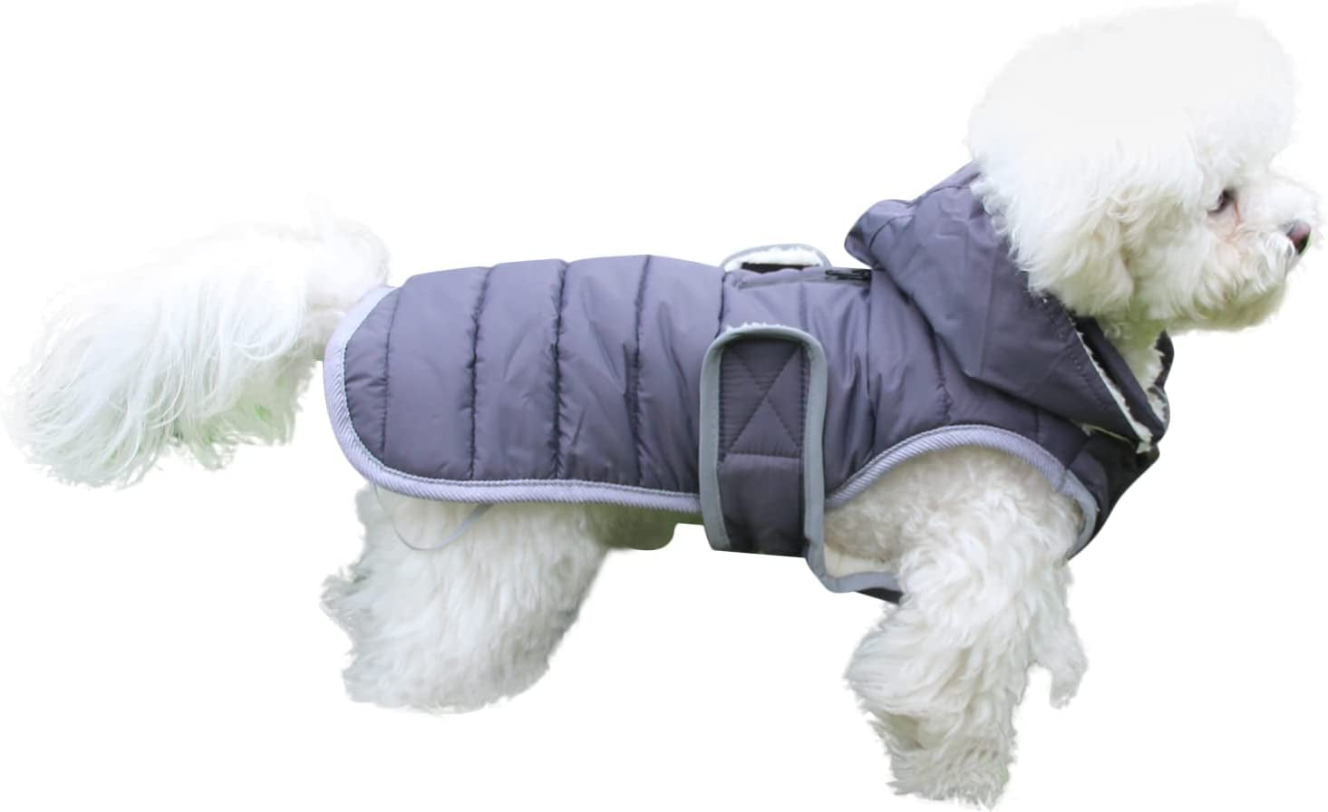 Joydaog Fleece Dog Hoodie for Medium Dogs Warm Puppy Jacket for Cold Winter Waterproof Dog Coats with Hood,Grey L Animals & Pet Supplies > Pet Supplies > Dog Supplies > Dog Apparel Qingwanke Grey X-Small (Pack of 1) 