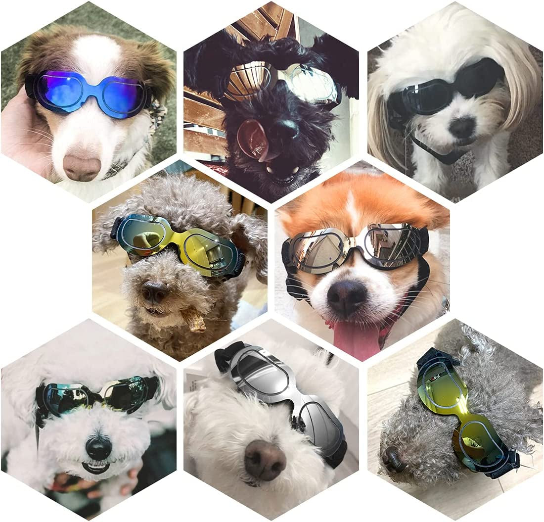 PEDOMUS Dog Sunglasses Small Dog Goggles Doggles Dog Glasses for Small Dogs Adjustable Band Blue Animals & Pet Supplies > Pet Supplies > Dog Supplies > Dog Apparel PEDOMUS   