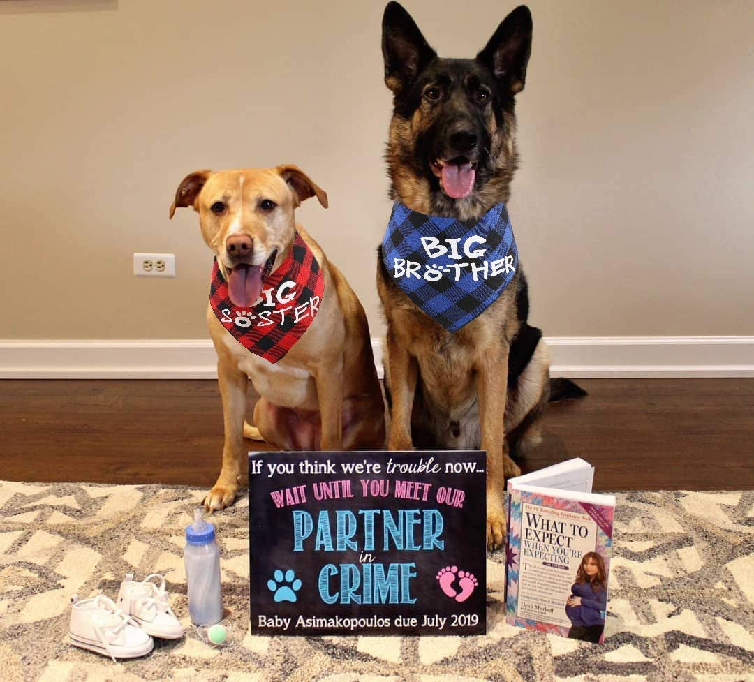 JPB Big Brother Dog Bandana,Buffalo Plaid Pet Pregnancy Announcement Scarf Animals & Pet Supplies > Pet Supplies > Dog Supplies > Dog Apparel JPB   