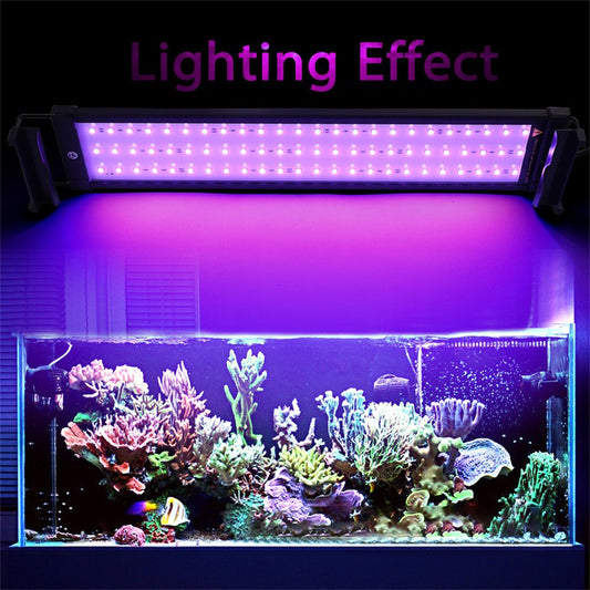 Tking Fashion Aquarium Hood Lighting Color Changing Remote Controlled Dimmable LED Light for Aquarium/Fish Tank (19"--28") Animals & Pet Supplies > Pet Supplies > Fish Supplies > Aquarium Lighting TKing Fashion   