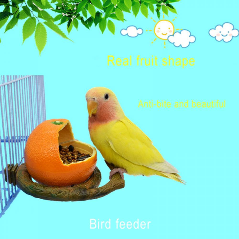 JOLLY Funny Fruit Shape Bird Parrot Feeder Cage Food Water Feeding Bowl Container Habitat for Small Animals Hamster Cage Reptile House Pet Feeder Natural Funny Nest Toy Animals & Pet Supplies > Pet Supplies > Small Animal Supplies > Small Animal Habitats & Cages Jolly's   