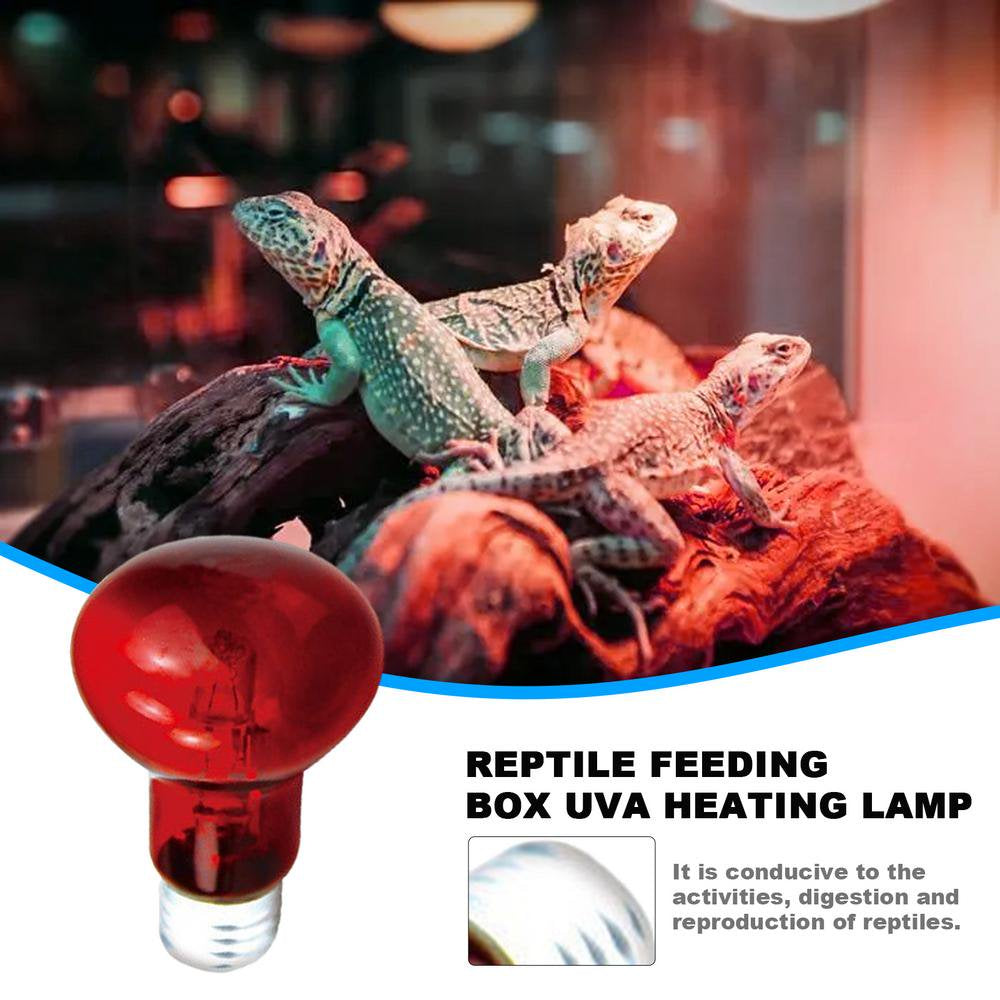 Geruite Reptile Heat Lamp Bulb Basking Spot Lamp for Reptiles Reptile Heat Bulb for Reptiles UVA Light Bulb for Lizard Tortoise Bearded Dragon Hedgehogs Expert
