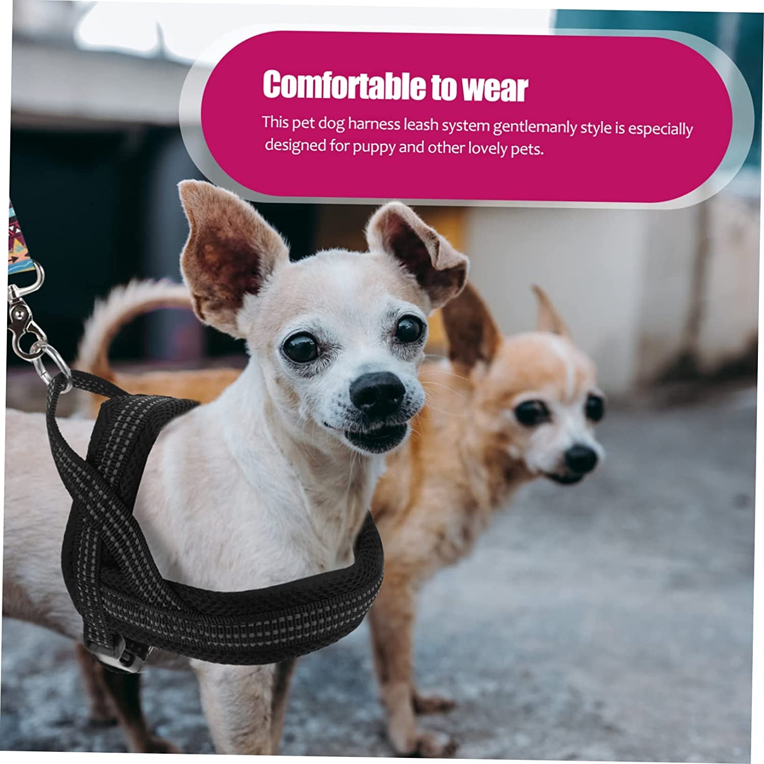 Balacoo 1Pc Chest Vest Walking Strap Kitten Pet Breast Supplies Traction Black Reflective Nylon Collar Puppy for Outdoor Dog Travel Protector Harness Animals & Pet Supplies > Pet Supplies > Dog Supplies > Dog Apparel Balacoo   