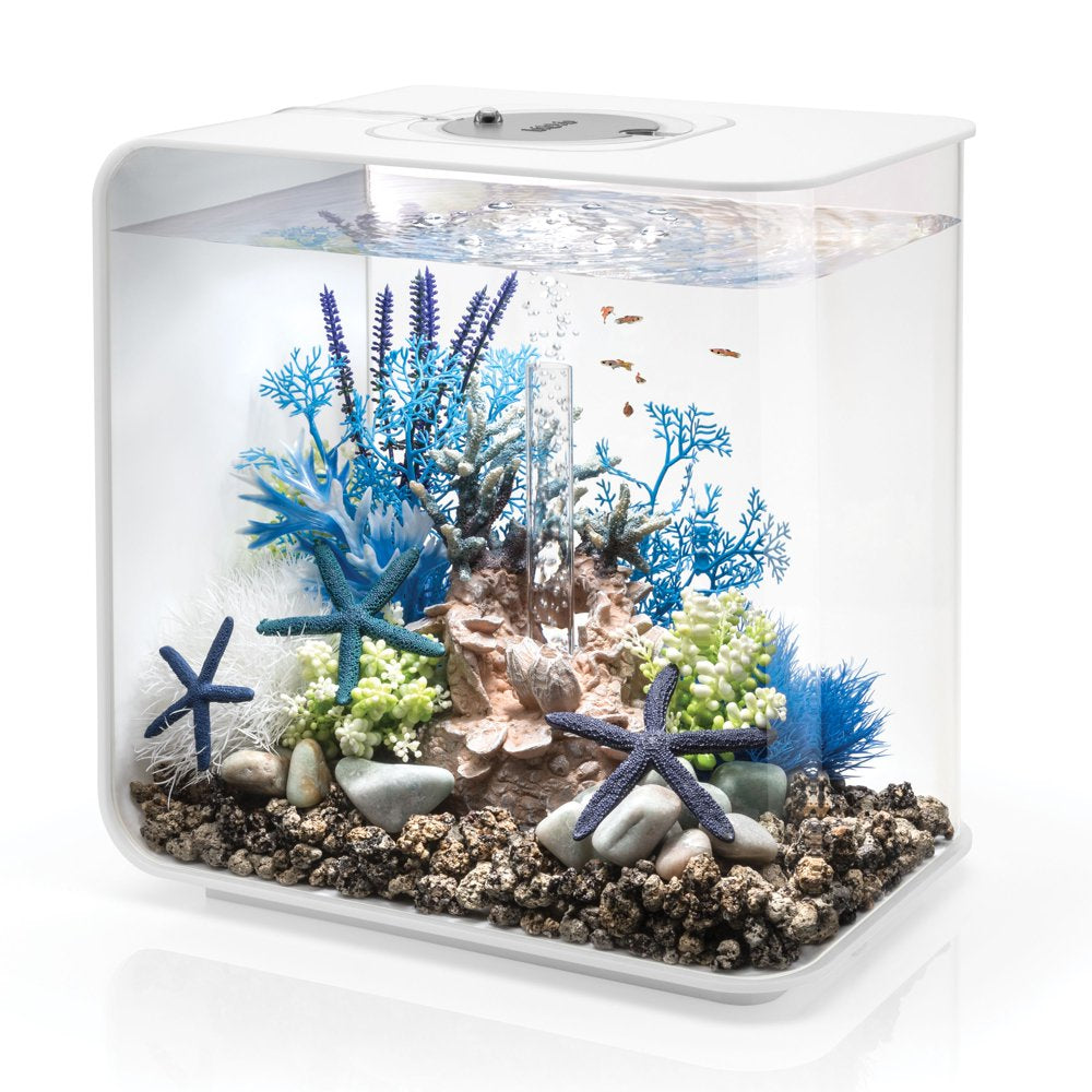 Biorb Aquarium Plant Set of 2, Plastic, Medium, Blue and Purple Animals & Pet Supplies > Pet Supplies > Fish Supplies > Aquarium Decor Oase   