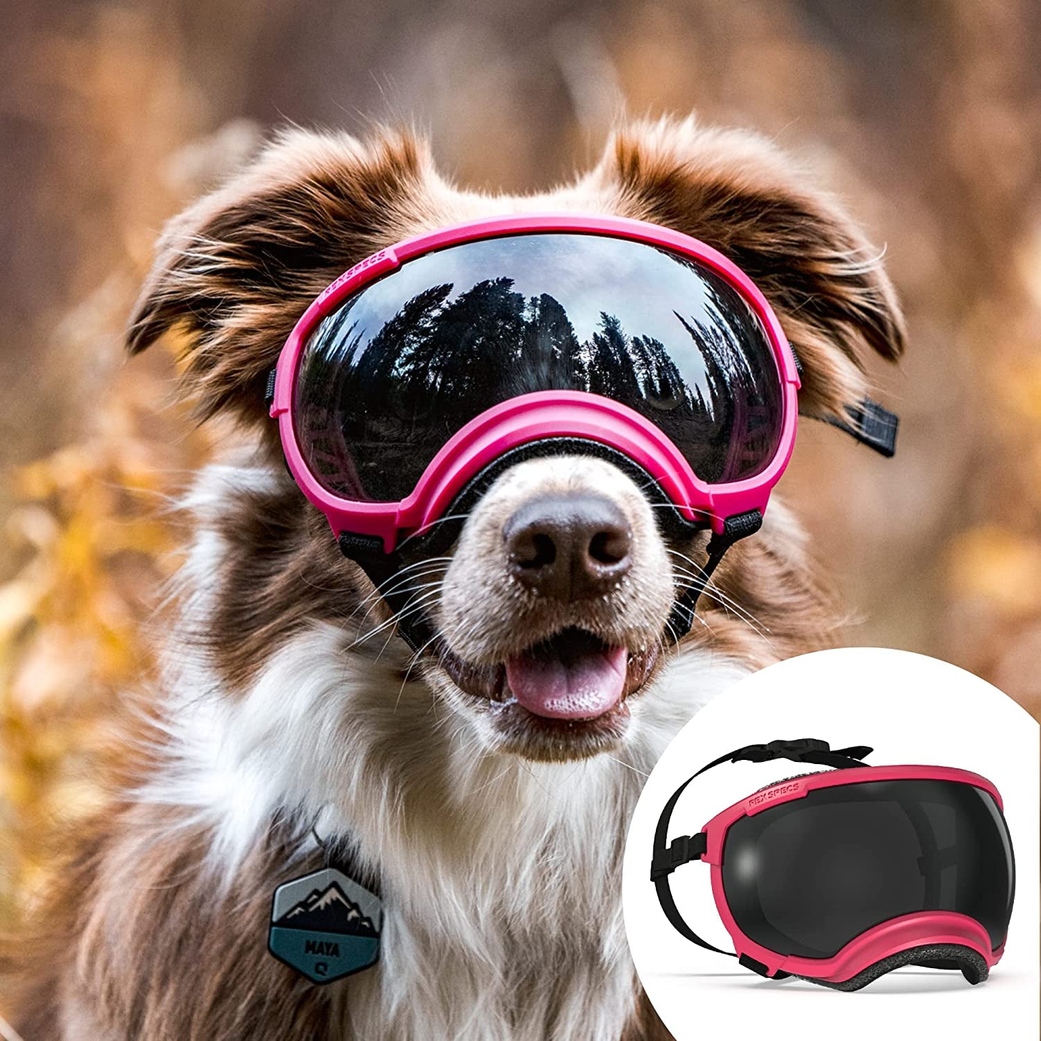 Rex Specs V2 Dog Goggles (Large, Tazer Teal) Animals & Pet Supplies > Pet Supplies > Dog Supplies > Dog Apparel Rex Specs Yazberry Small 