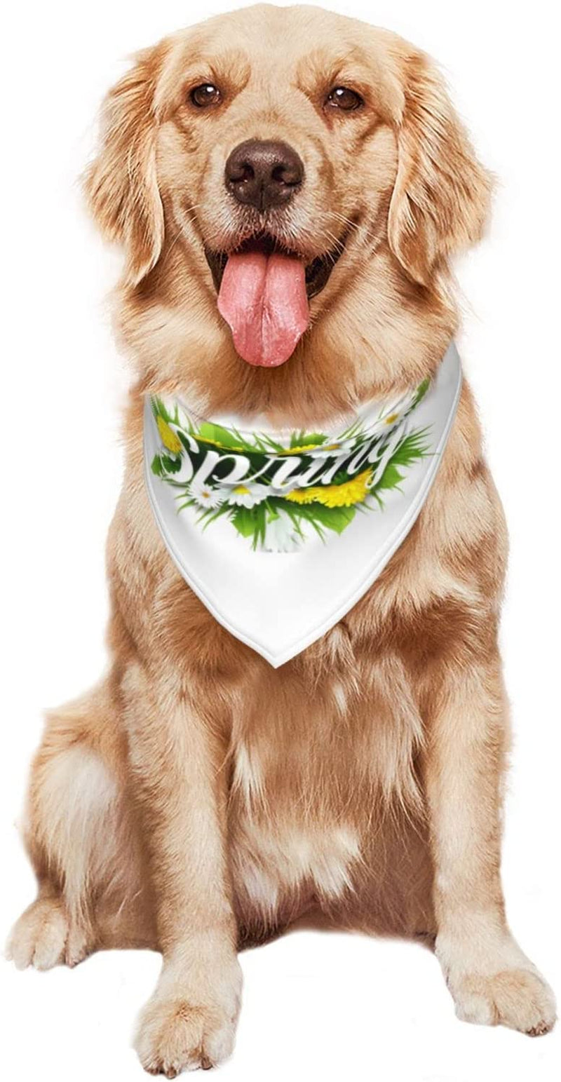 Hello Spring Floral Season Border Pet Dog and Cat Decorative Triangle Scarf,Dog Bandana,Breathable and Stain Resistant. Animals & Pet Supplies > Pet Supplies > Dog Supplies > Dog Apparel ZALTAS   