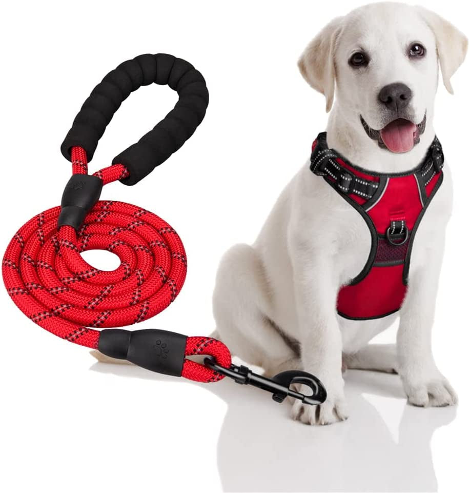 Falinlve Dog Harness and Leash Combo, Escape Proof No Pull Vest Harness, Reflective Adjustable Soft Padded Pet Harness with Handle for Small to Large Dogs,M (Blue) Animals & Pet Supplies > Pet Supplies > Dog Supplies > Dog Apparel Falinlve red  