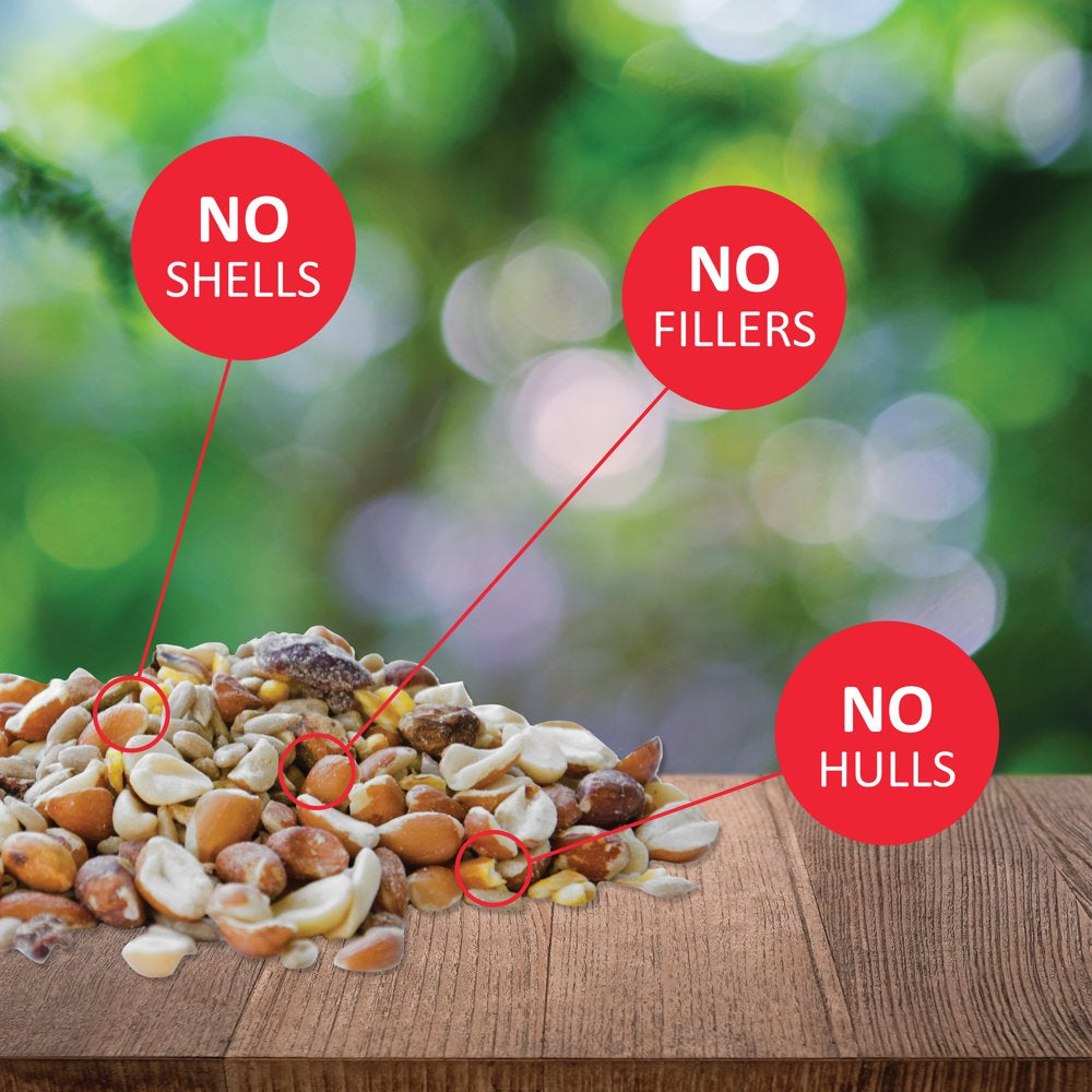 Lyric Woodpecker Wild Bird Seed - No Waste Bird Seed with Nuts, Fruit & Seeds - 5 Lb. Bag Animals & Pet Supplies > Pet Supplies > Bird Supplies > Bird Food Lebanon Seaboard Corporation   