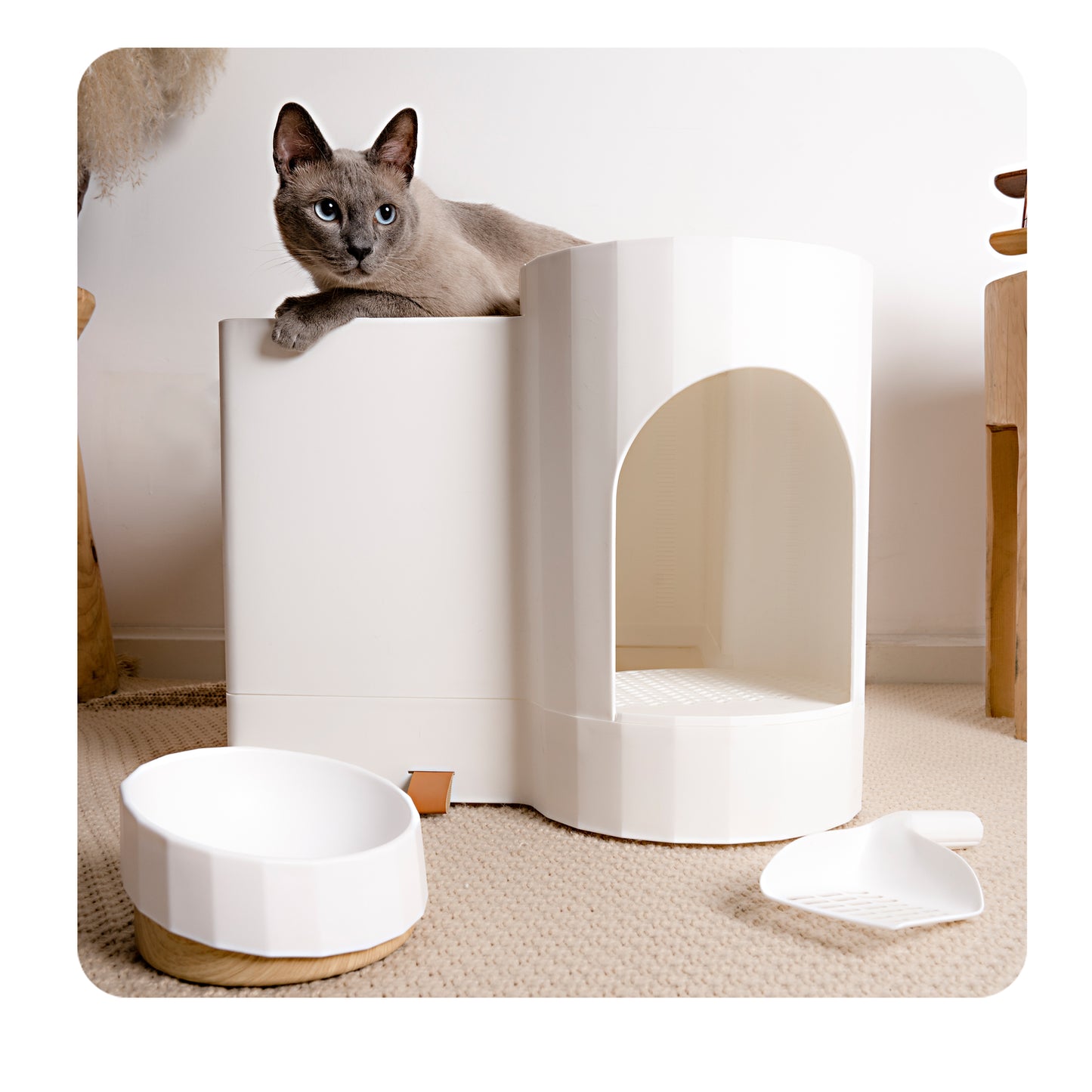 Cat Litter Box Dome, 75L for 8KG Pet Litterbox Potty House Furniture with 3L Drawer, Modern Simple and Easy to Clean, White