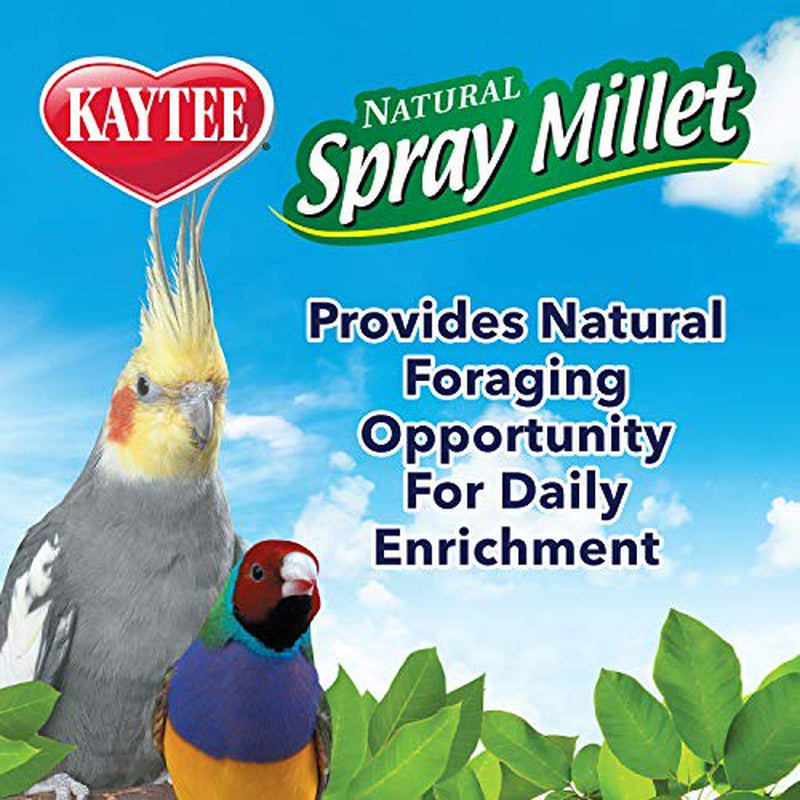 Kaytee Spray Millet Treat for Pet Birds, 5 Pound Animals & Pet Supplies > Pet Supplies > Bird Supplies > Bird Treats Kaytee   