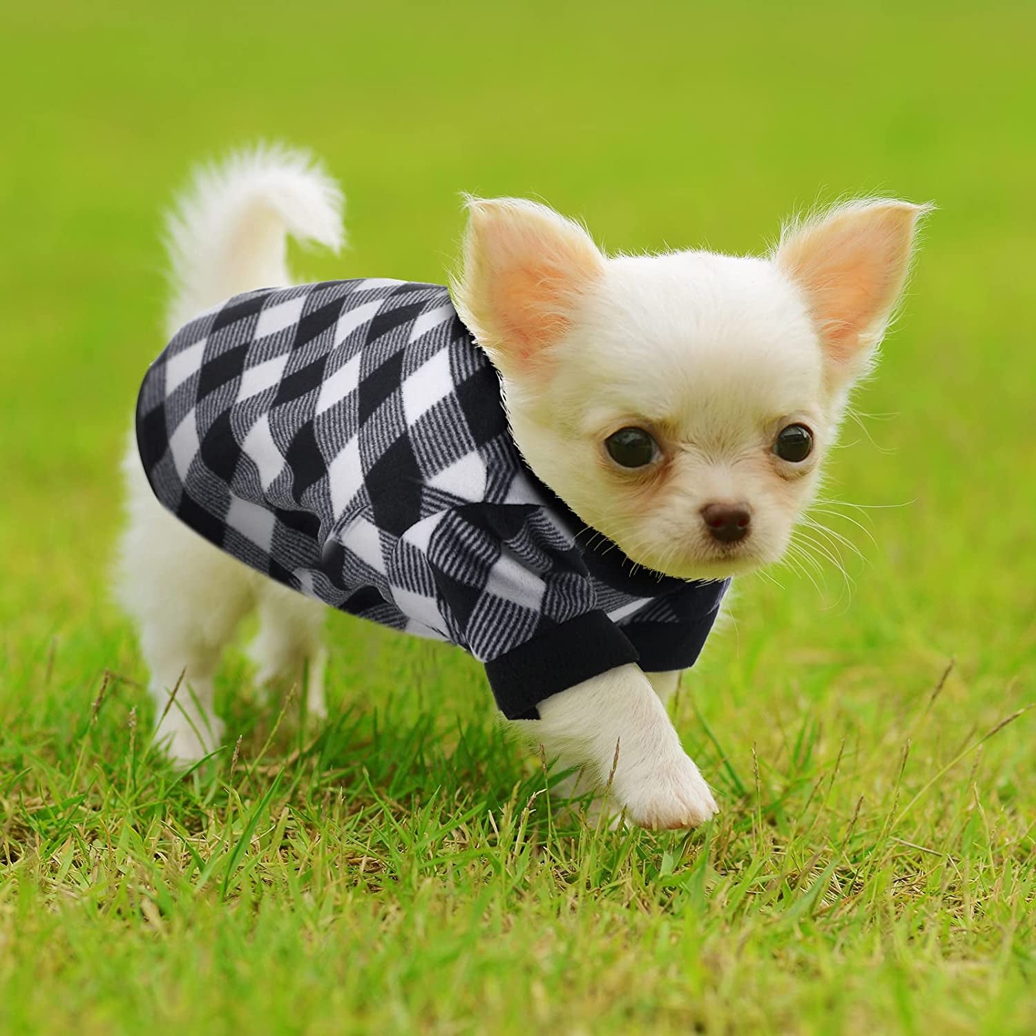 8 Pieces Dog Sweaters Winter Chihuahua Clothes Outfits Dog Warm Shirt Winter Puppy Clothes for Winter Colorful Thickening Dog Pajamas for Pets Pup Dog Cat (Classic Pattern, X-Small) Animals & Pet Supplies > Pet Supplies > Dog Supplies > Dog Apparel Weewooday   