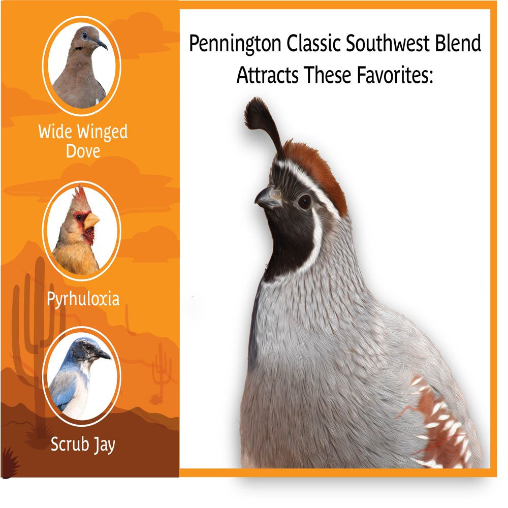 Pennington Southwest Blend Wild Bird Feed and Seed, 20 Lb. Bag Animals & Pet Supplies > Pet Supplies > Bird Supplies > Bird Food CENTRAL GARDEN & PET COMPANY   