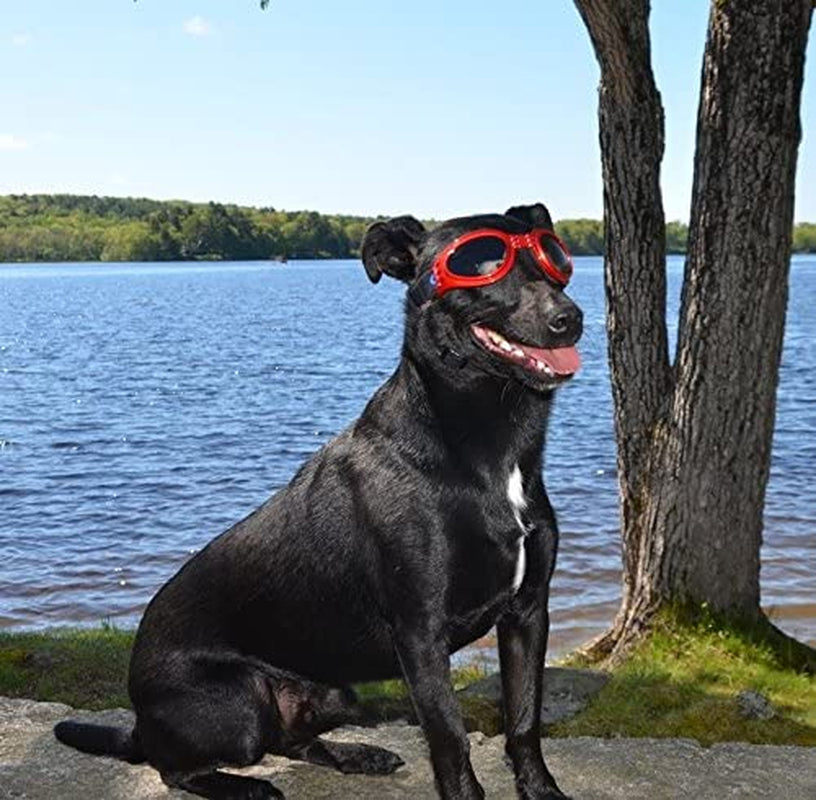 Lovewally Dog Goggles Red Sunglasses Shatterproof and 100& UV Protection Animals & Pet Supplies > Pet Supplies > Dog Supplies > Dog Apparel LoveWally   