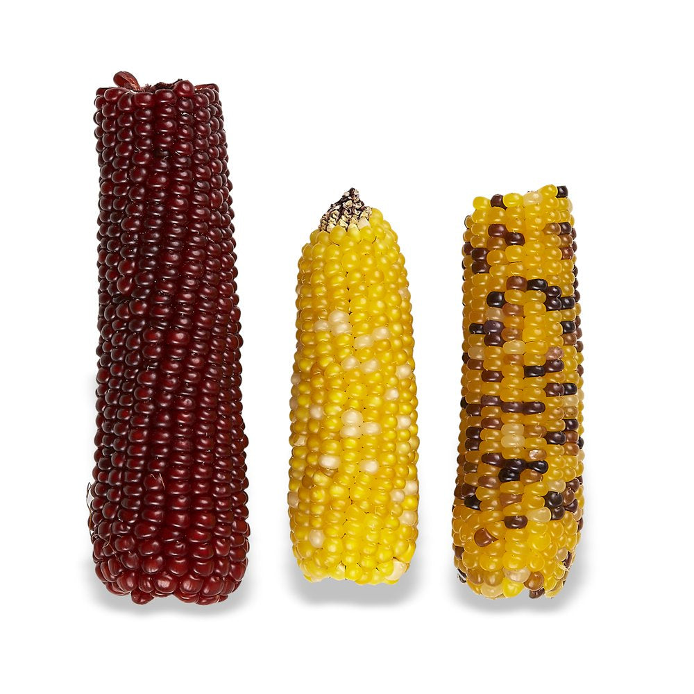 Vitakraft Mini Pops Treat for Small Animals - 100% Real Corn Cob - Supports Healthy Teeth - 6 Oz Animals & Pet Supplies > Pet Supplies > Small Animal Supplies > Small Animal Food Vitakraft Sun Seed   