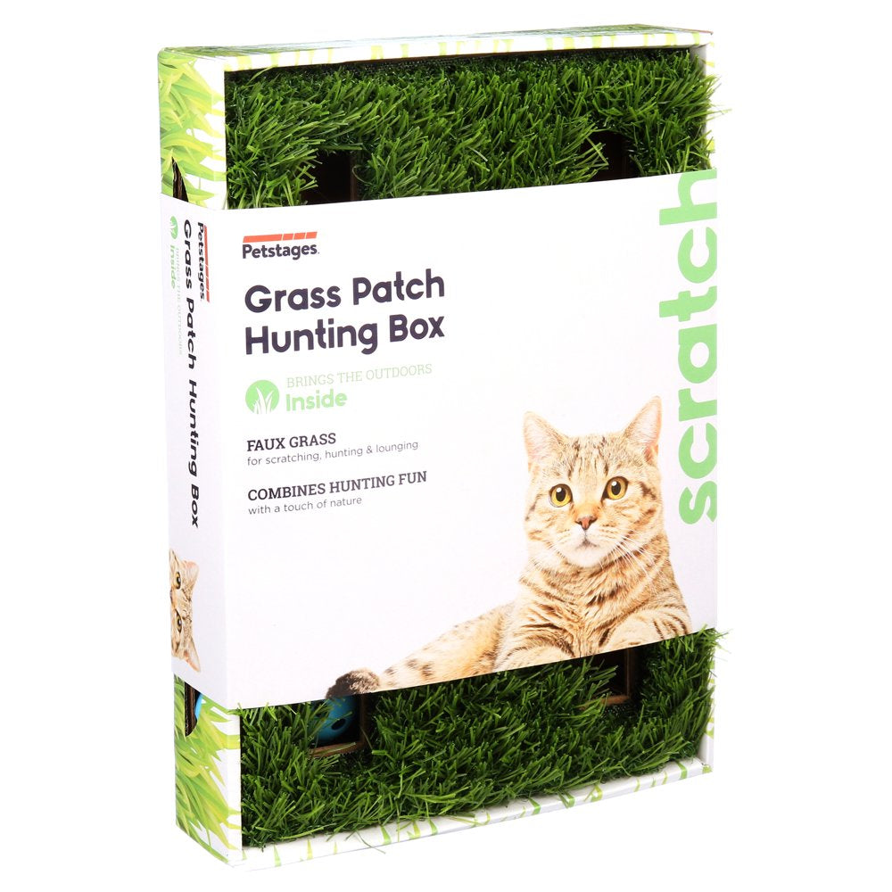 Petstages Grass Patch Hunting Box Interactive Cat Toy, Green, One-Size Animals & Pet Supplies > Pet Supplies > Cat Supplies > Cat Toys Outward Hound Holdings   