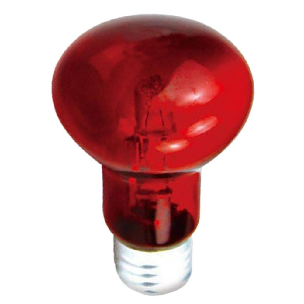 Fovolat Reptile Heat Bulb High Intensity UVA Light Bulb Heating Light for Reptiles and Amphibian Use Basking Light for Turtle Bearded Dragon Lizard Usefulness Animals & Pet Supplies > Pet Supplies > Reptile & Amphibian Supplies > Reptile & Amphibian Food Fovolat Red light 70W  