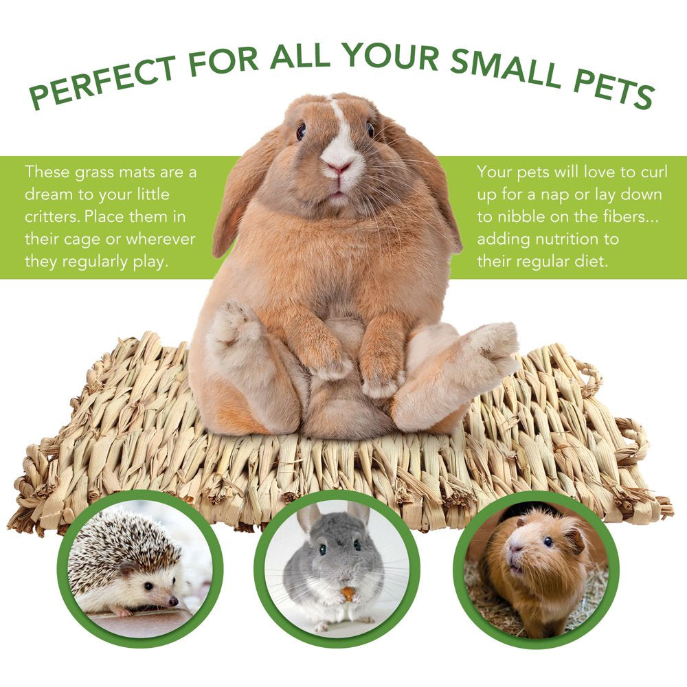 Lotfancy 3 Pack Grass Mat for Rabbits Bunny, Woven Hay Mat for Small Animals Animals & Pet Supplies > Pet Supplies > Small Animal Supplies > Small Animal Bedding LotFancy   