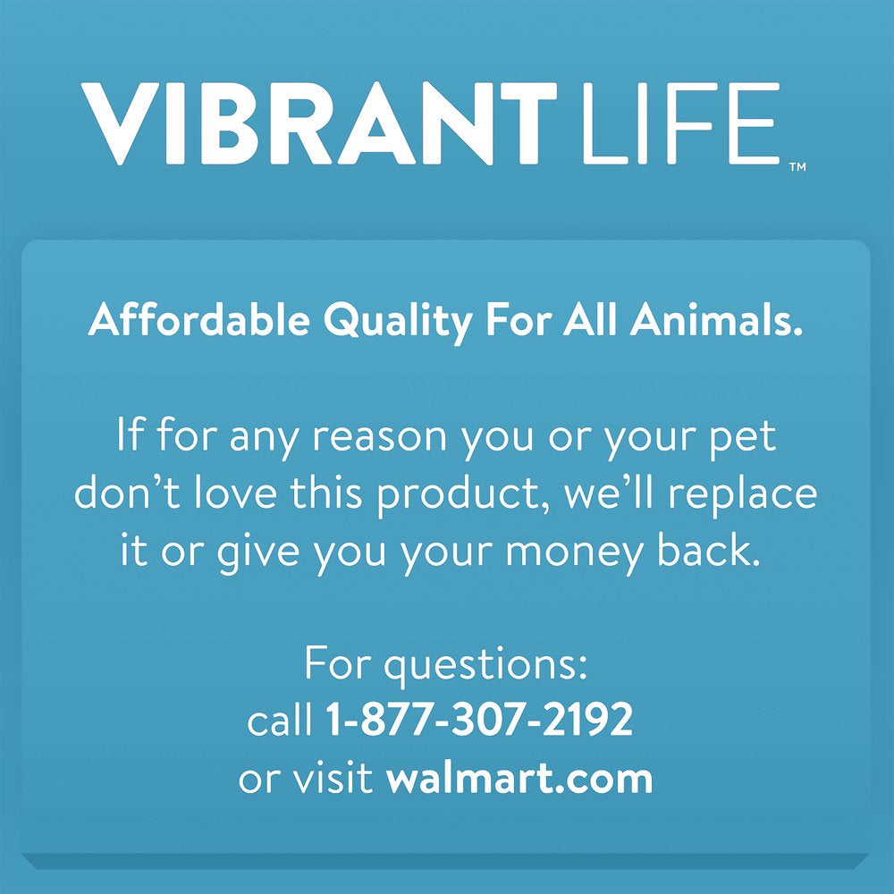 Vibrant Life Treat Buddy Dog Toy, Red, Medium, 5" Animals & Pet Supplies > Pet Supplies > Dog Supplies > Dog Toys Wal-Mart Stores, Inc.   