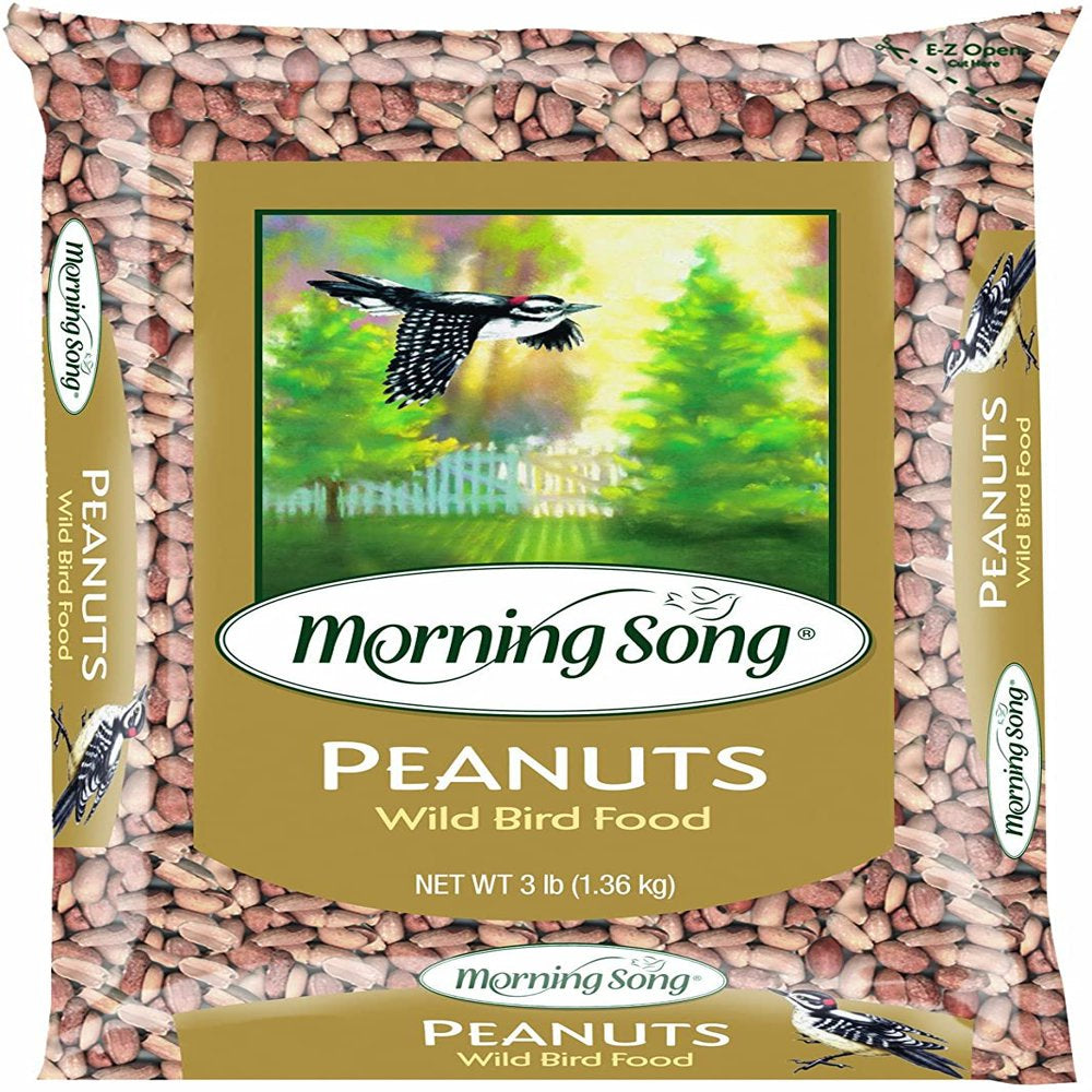 Morning Song 1022285 Peanuts Wild Bird Food Bag, 3-Pound Animals & Pet Supplies > Pet Supplies > Bird Supplies > Bird Food Morning Song   