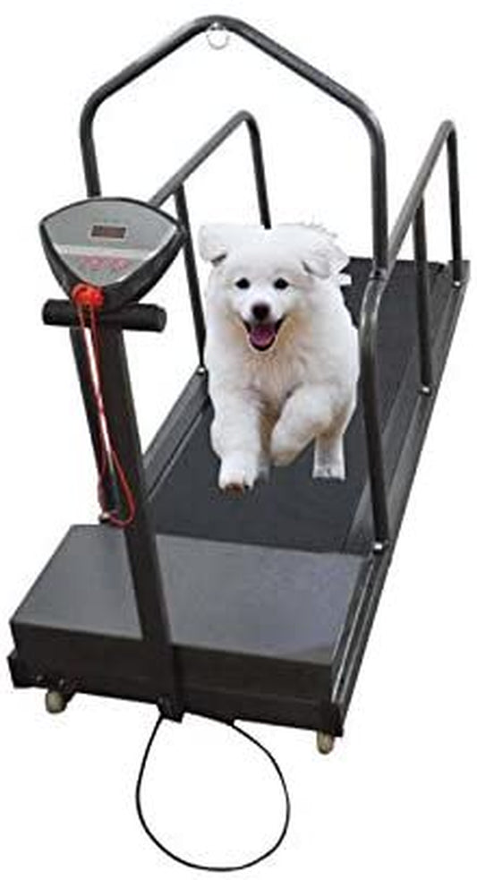 TECHTONGDA Dog Proform Treadmill Pet Exercise Equipment for Canine Running 110V Animals & Pet Supplies > Pet Supplies > Dog Supplies > Dog Treadmills Techtongda   