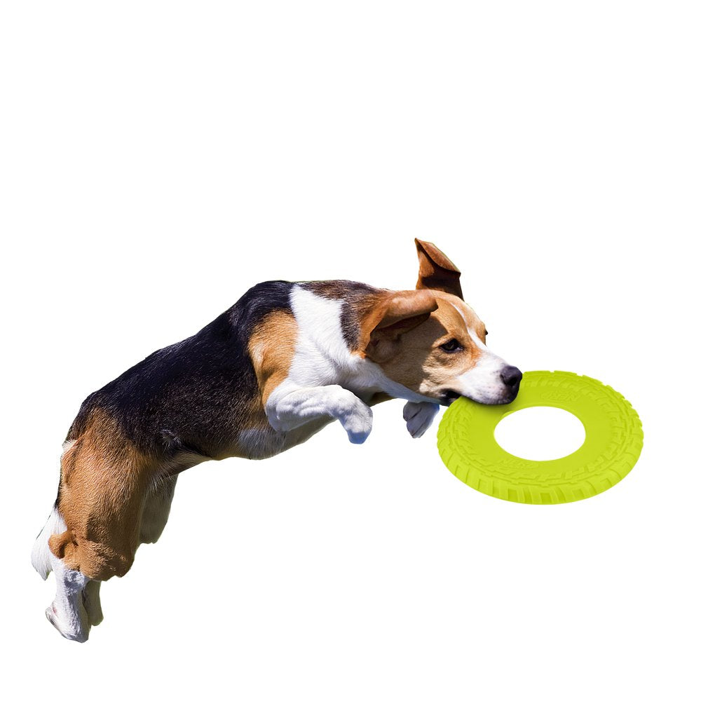 Nerf Dog 10" Green Tire Flyer Dog Toy - Durable TPR, Lightweight, Floating Frisbee Flyer Animals & Pet Supplies > Pet Supplies > Dog Supplies > Dog Toys Nerf Dog, Gramercy Products   