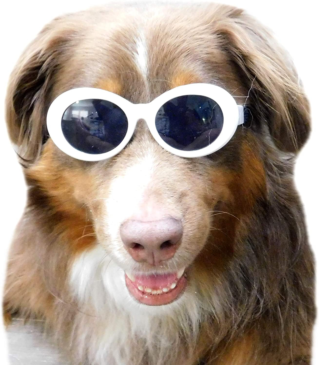 G009 Dog Pet Costume Prop Oval Sunglasses Medium Breeds 20Lbs-40Lbs (White) Animals & Pet Supplies > Pet Supplies > Dog Supplies > Dog Apparel Style Vault   