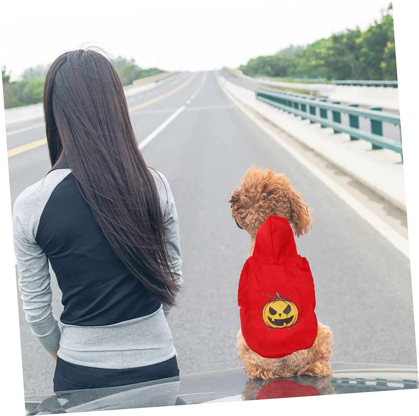 BCOATH 1Pc Pet Sweater Puppy Outfits Warm Coats for Women Winter Winter Wear Winter Doggie Coat Halloween Dog Cat Cloak Hat Pet Winter Jacket Pet Coat Pet Garment Interesting Dog Clothes Animals & Pet Supplies > Pet Supplies > Dog Supplies > Dog Apparel BCOATH   