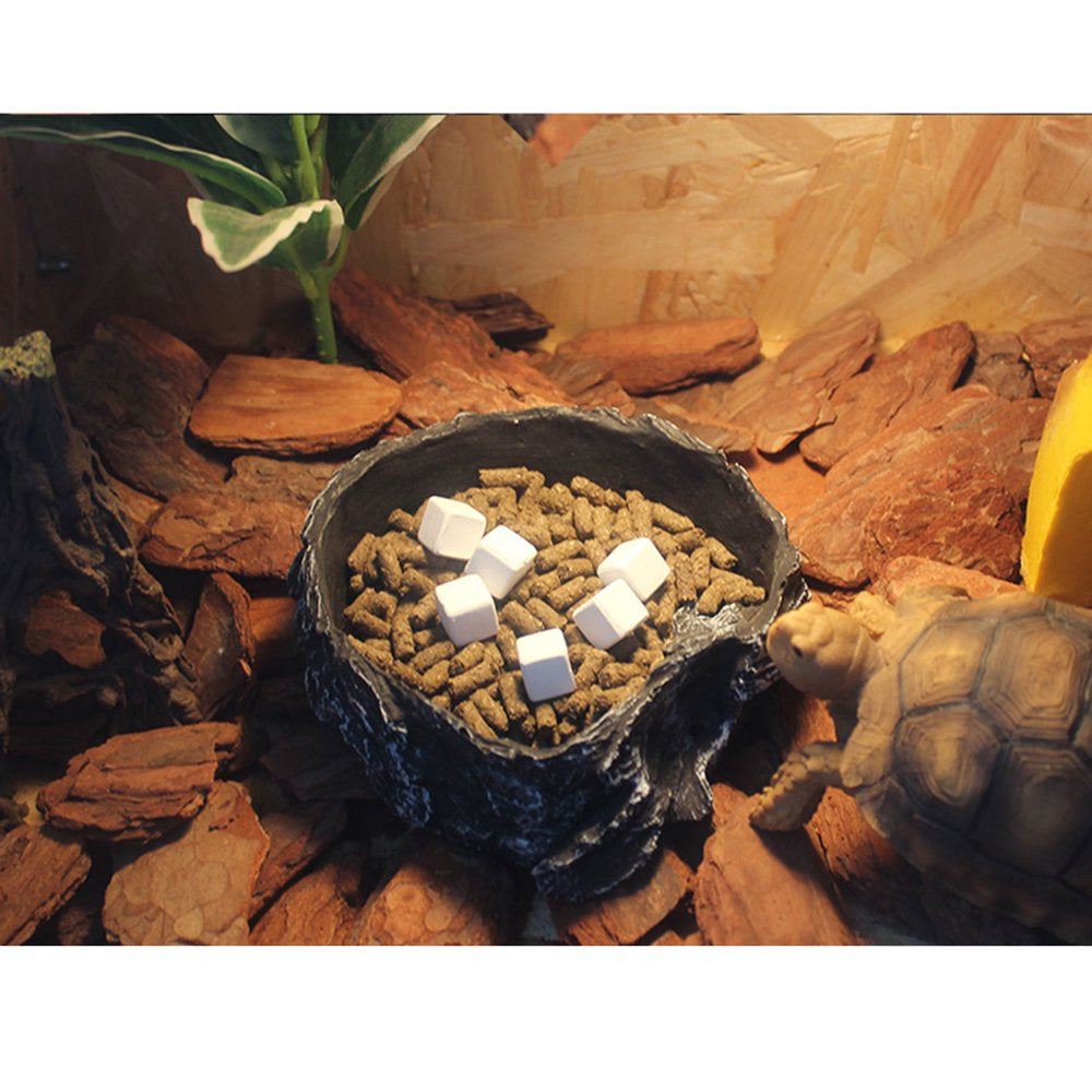 CHAOMA Tortoise Banquet Blocks Slow-Release Calcium Blocks for Aquatic Turtles Reptiles Animals & Pet Supplies > Pet Supplies > Reptile & Amphibian Supplies > Reptile & Amphibian Food CHAOMA   