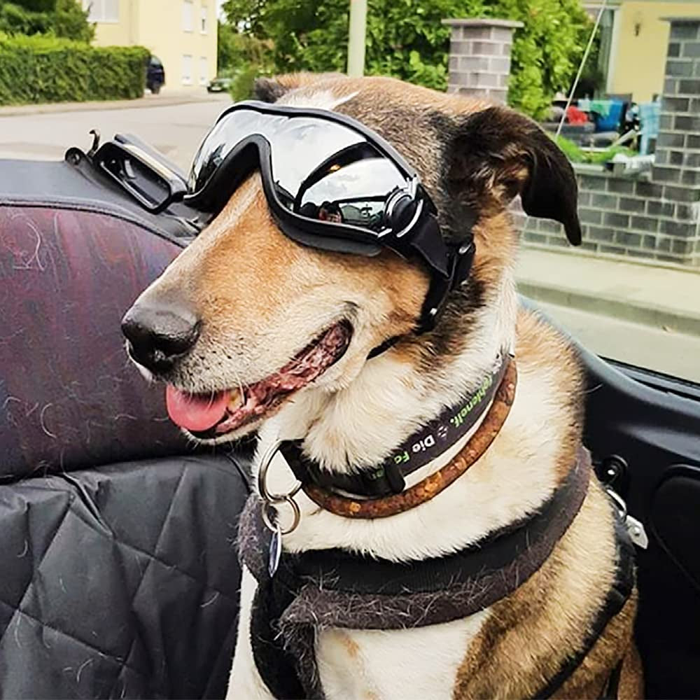 Gesuche Dog Sunglasses Dog Goggles,Uv Protection Wind Protection Dust Protection Snow Protection Fog Protection Pet Glasses Eye Wear Protection with Adjustable Strap for Medium or Large Dog Animals & Pet Supplies > Pet Supplies > Dog Supplies > Dog Apparel Gesuche   