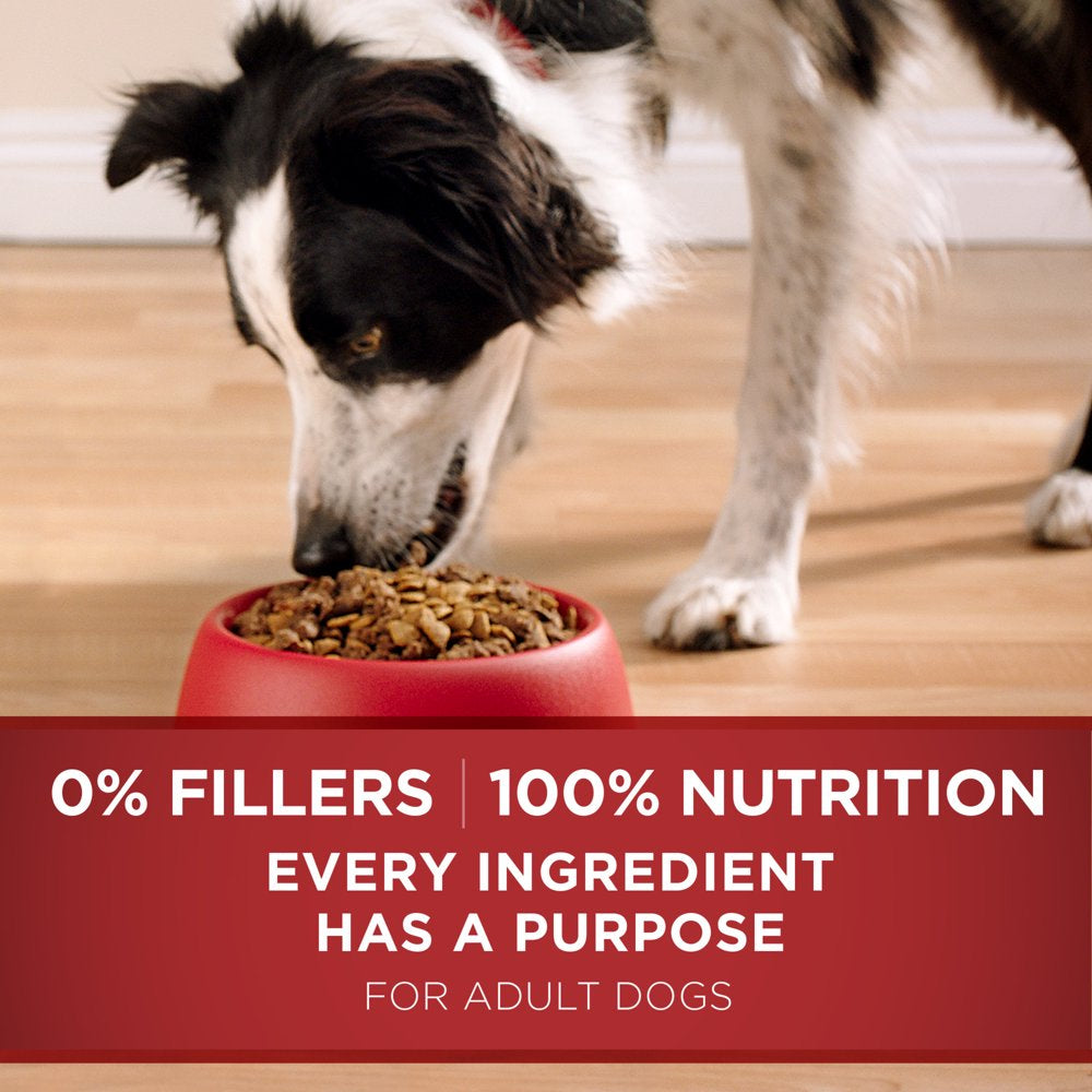 Purina ONE Natural Dry Dog Food Smartblend Lamb Rice Formula 8