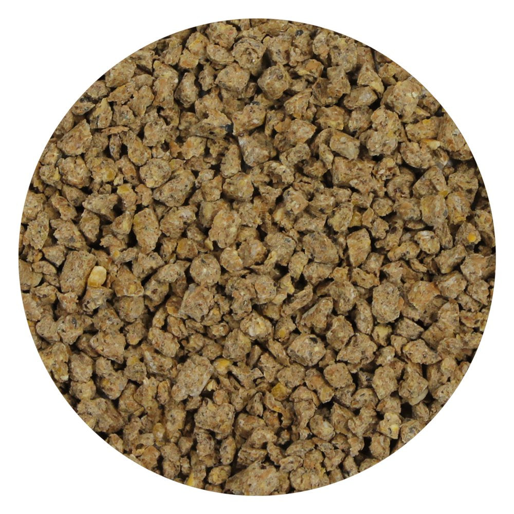 Exotic Nutrition Mealworm Chow 1 Lb. Animals & Pet Supplies > Pet Supplies > Small Animal Supplies > Small Animal Food Exotic Nutrition   